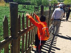 -新疆天山野生动物园