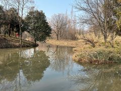 -洛阳市隋唐城遗址植物园