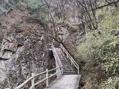 -牛背梁国家森林公园