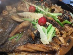 -老板恋上鱼(恒隆广场店)