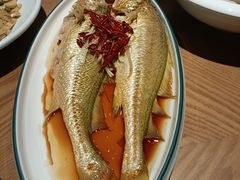 -波螺油子·海肠捞饭·青岛菜(银座店)