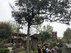 -青城甲(青城山店)