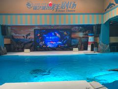 -锦艺城海洋馆