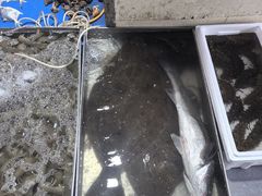 -登州市场(登州路店)