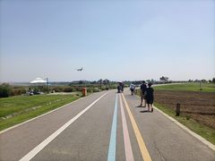 -空港花田景区