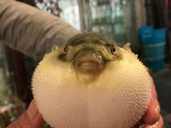 -观桥阁(锦溪店)