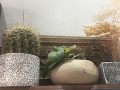 -家宴·灌蛋·沙茶面(曾厝垵店)