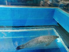-海合安武汉极地海洋公园