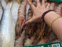 -御唐府海珊瑚主题餐厅