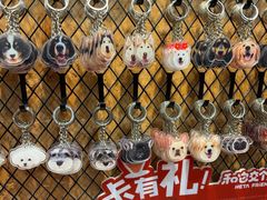 -和它·交个朋友·狗咖猫咖(爱琴海店)