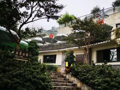 -老幺泉水鸡