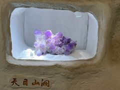 -茅山东方盐湖城景区