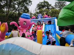 -南宁良凤江国家森林公园