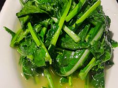 -陈麻婆豆腐(旗舰店)