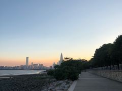 -深圳湾公园(南山区)