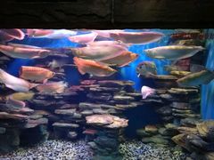 -多彩贵州城极地海洋世界