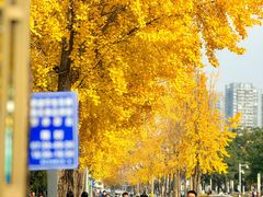 -四川大学(望江校区)