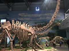 -自贡恐龙博物馆