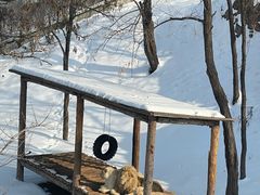 -石家庄市动物园