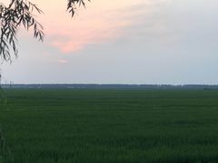 -天发长铁锅炖(王秀村店)