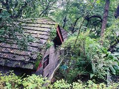 -梦幻奥陶纪景区