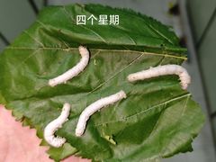 -成都仁和新城购物中心