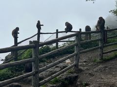 -峨眉山风景名胜区