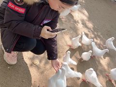 -荆州中山公园动物园