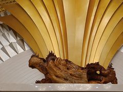 -碧中海汤泉汗蒸酒店