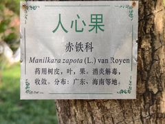 -广州神农草堂中医药博物馆