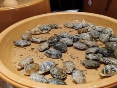 -龍歌自助小火锅(城阳万象汇店)