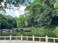 -榴花公园