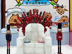 -哈尔滨热雪奇迹