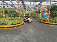 -南宫五洲植物乐园