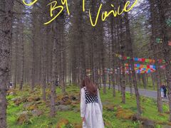 -硗碛藏寨·神木垒景区