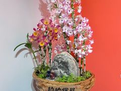 -云溪植物园