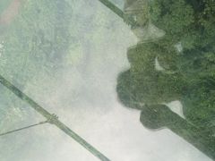 -紫颐香薰山谷景区