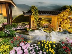 -杭州植物园