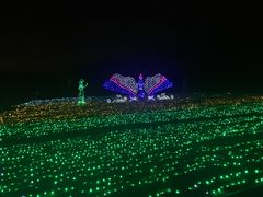 -亚龙湾国际玫瑰谷