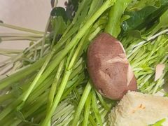 -牛YO寿喜烧和牛火锅自助(三台子万象汇店)