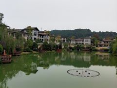 -铁山坪森林公园