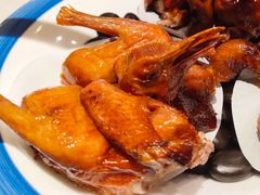 红烧乳鸽-陈鹏鹏潮汕菜(欢乐海岸 海边景观店)