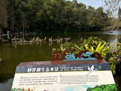 -深圳仙湖植物园