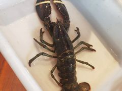 -鱼乐轩·俄罗斯海鲜直供餐厅(群力店)