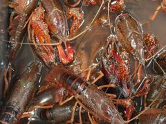 -永辉超市(大西洋银泰城店)