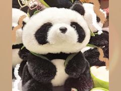 -TheGreenParty(槐房万达店)