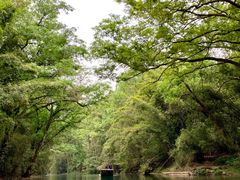 -九曲溪竹筏码头