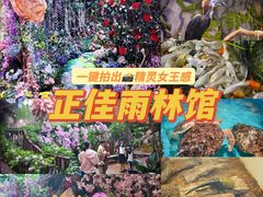 -正佳雨林生态植物园