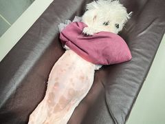 -美联众合动物医院·24h京西诊疗中心