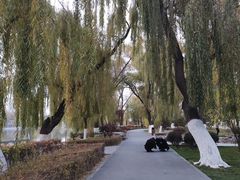 -西宁市人民公园(城西区)